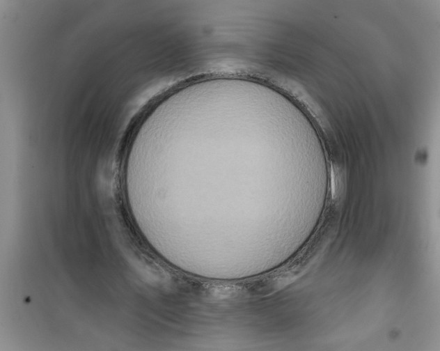 X0000100970579200807221212