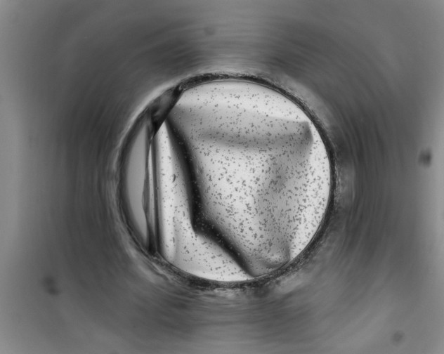 X0000100970580200807221212