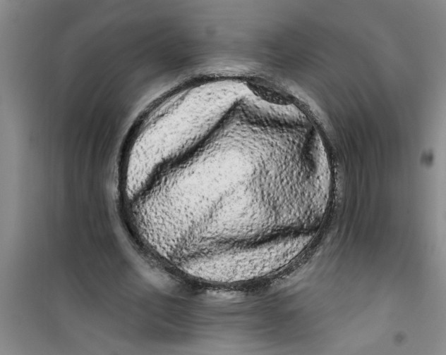 X0000100970582200807221212