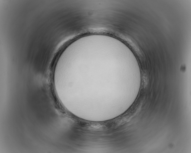 X0000100970583200807221212