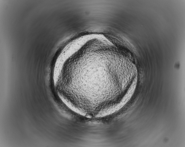 X0000100970586200807221212