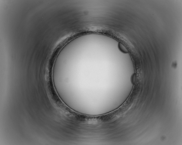 X0000100970587200807221212