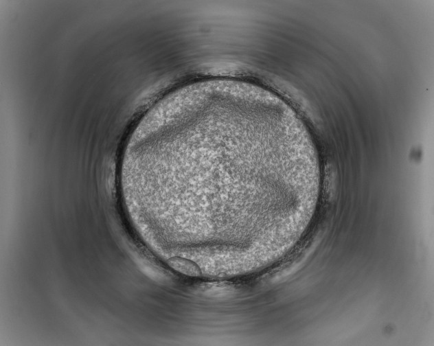 X0000100970589200807221212