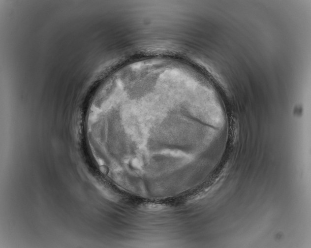 X0000100970590200807221212
