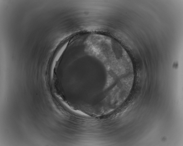 X0000100970592200807221212