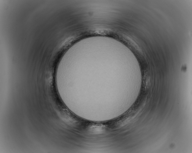 X0000100970595200807221212