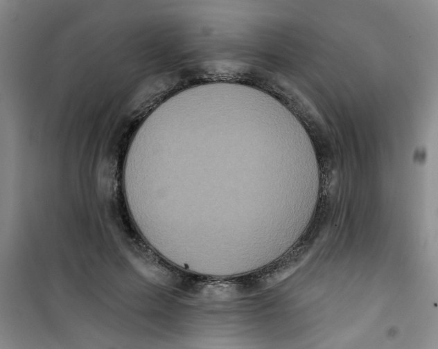 X0000100970599200807221211