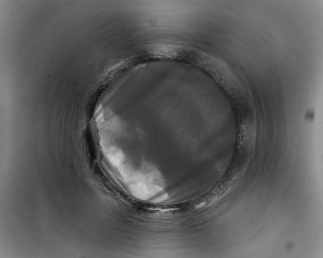 X0000100970600200807221211