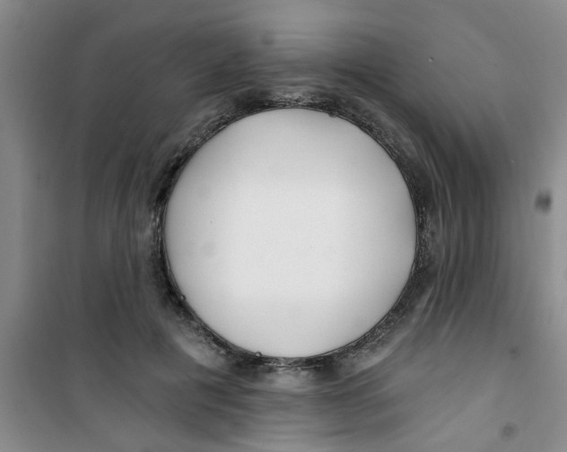 X0000100970601200807221211
