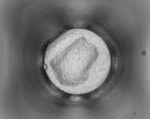 X0000100970602200807221211