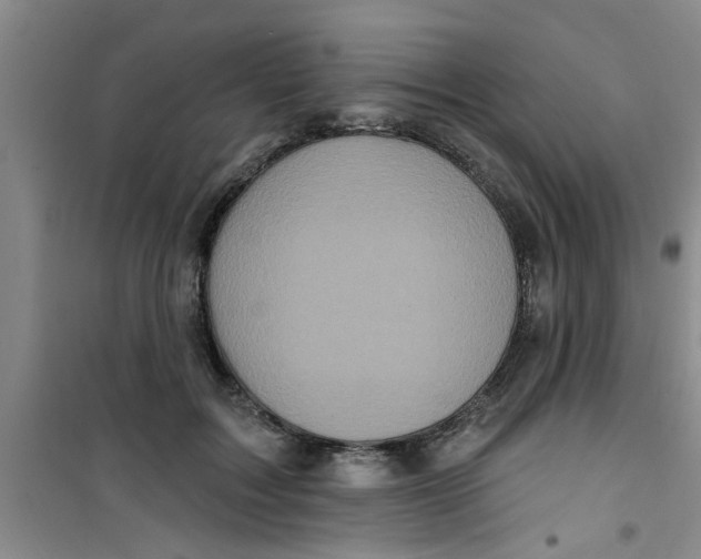 X0000100970603200807221211