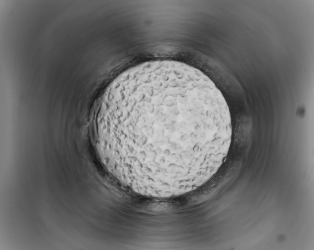 X0000100970604200807221211