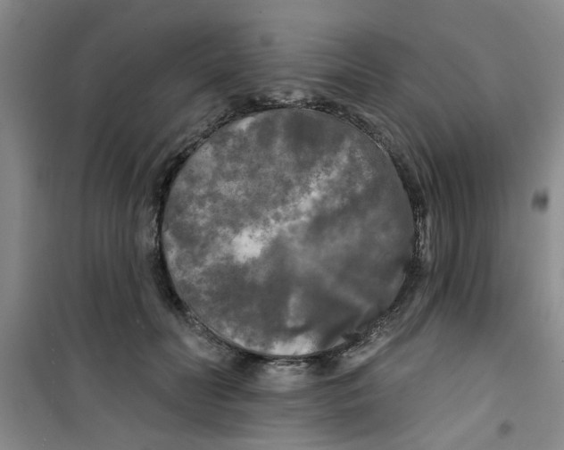 X0000100970606200807221211