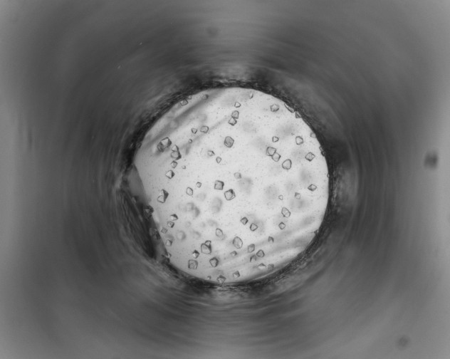 X0000100970608200807221211
