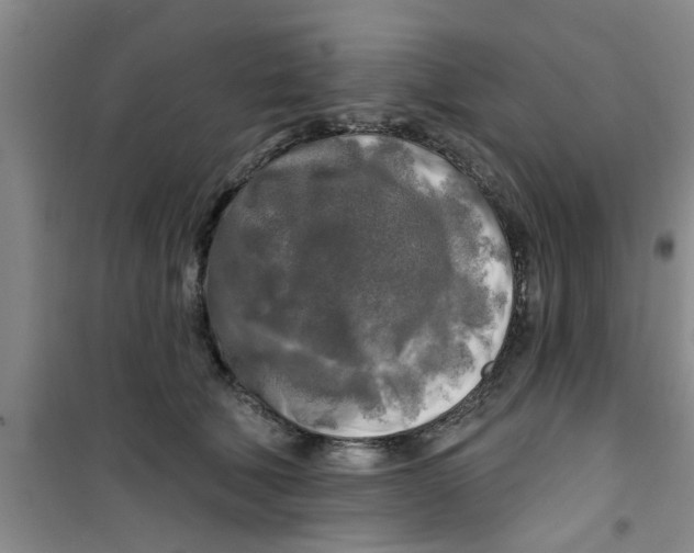 X0000100970610200807221211