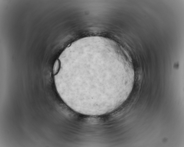 X0000100970615200807221211
