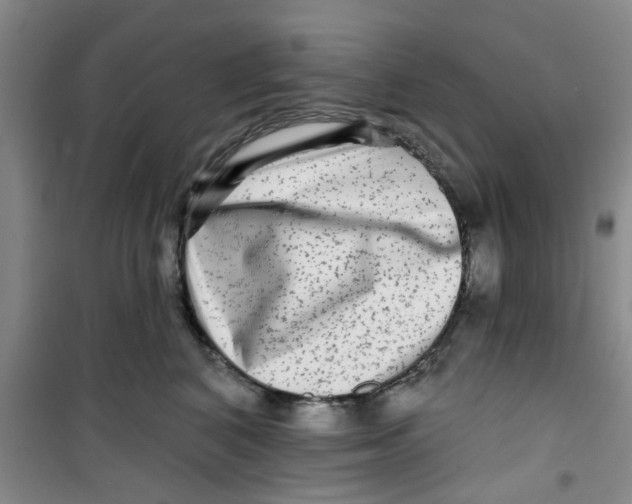 X0000100970616200807221211