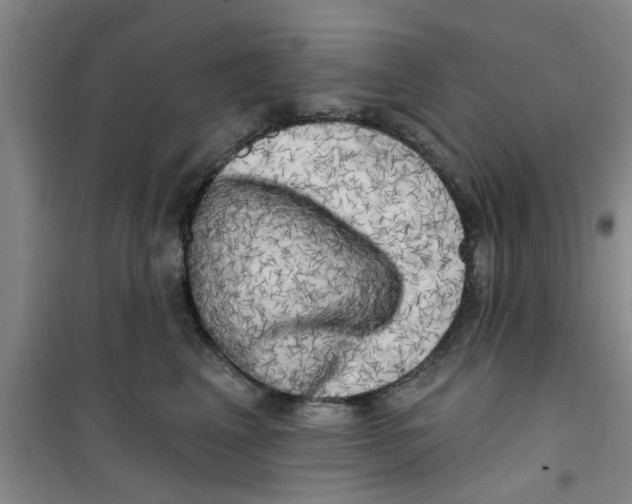 X0000100970617200807221211
