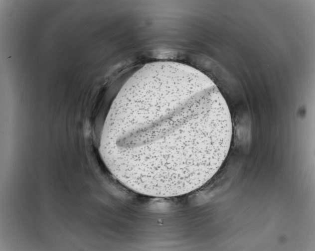 X0000100970620200807221211
