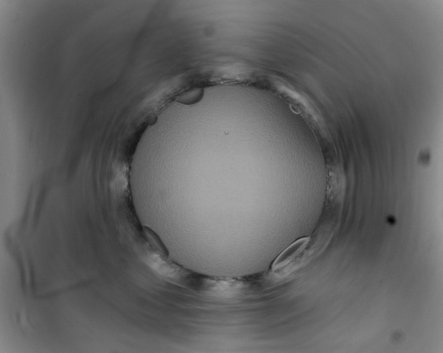 X0000100970621200807221211