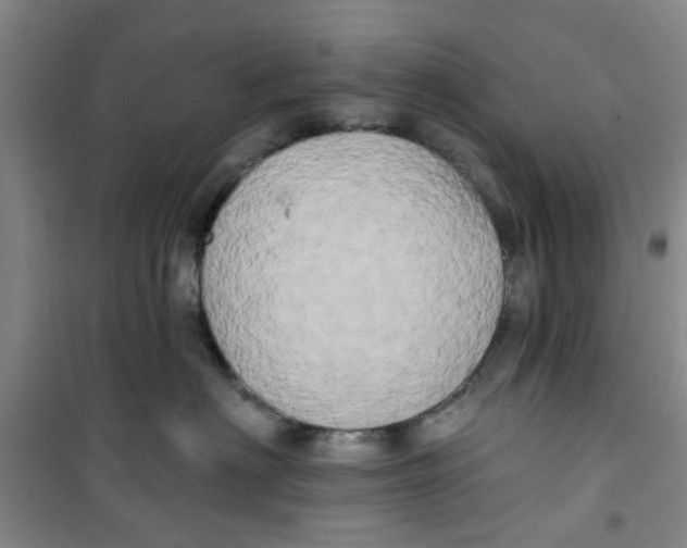 X0000100970622200807221211