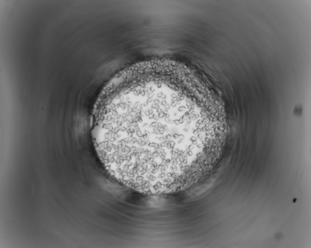 X0000100970623200807221211