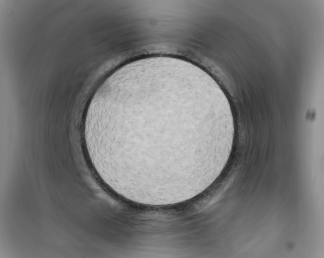 X0000100970625200807221210