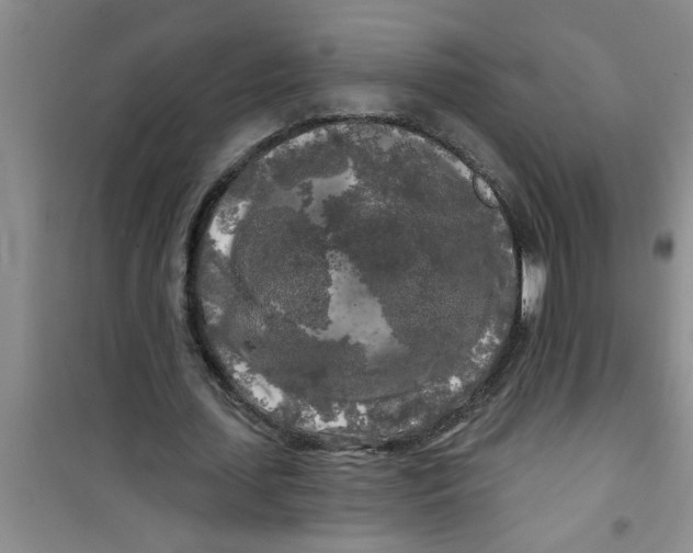 X0000100970627200807221210