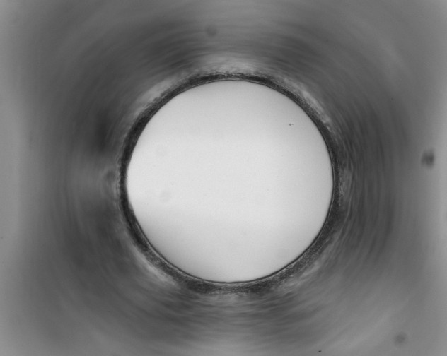 X0000100970629200807221210