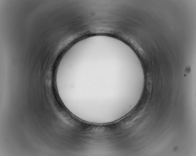 X0000100970631200807221211