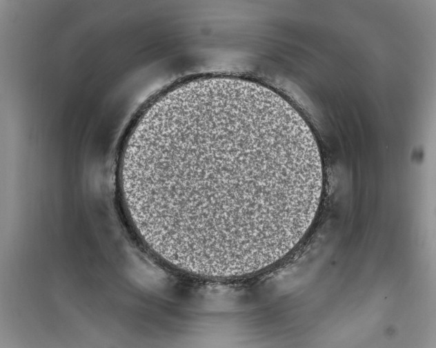 X0000100970632200807221211