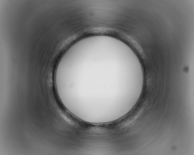 X0000100970633200807221211