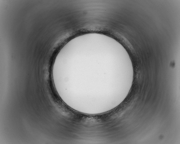 X0000100970635200807221211