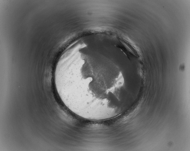 X0000100970637200807221211