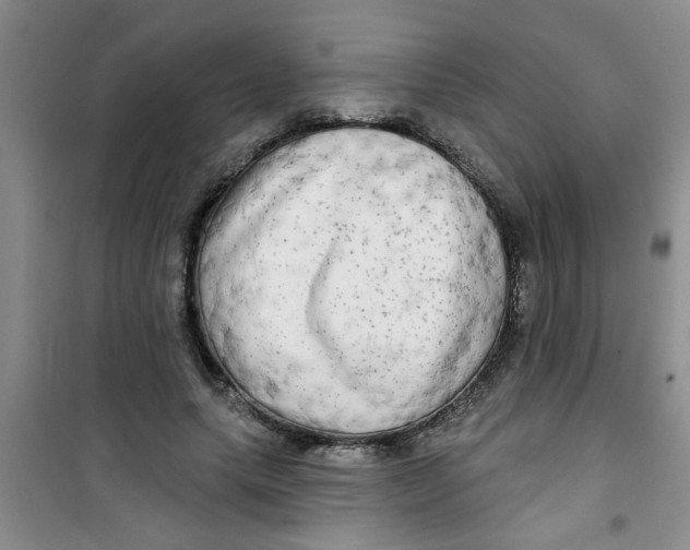 X0000100970639200807221211