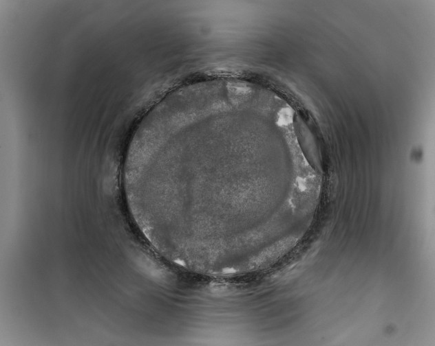 X0000100970641200807221211