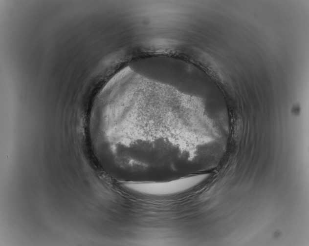 X0000100970643200807221211