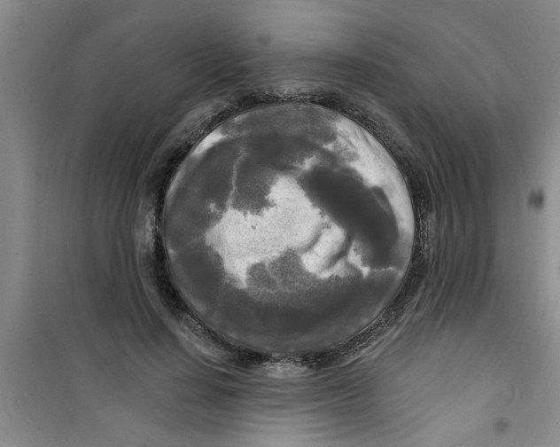 X0000100970644200807221211