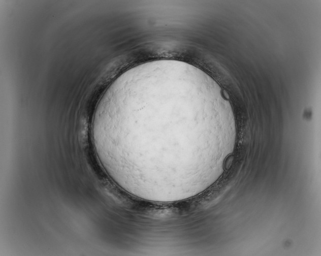 X0000100970646200807221211
