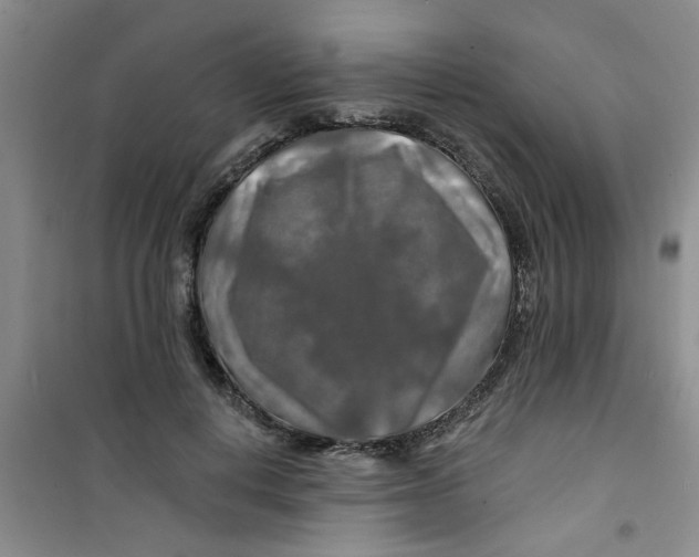 X0000100970648200807221211