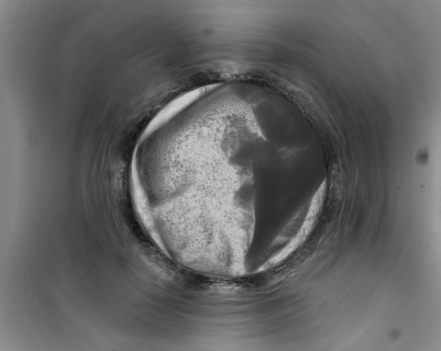 X0000100970650200807221211