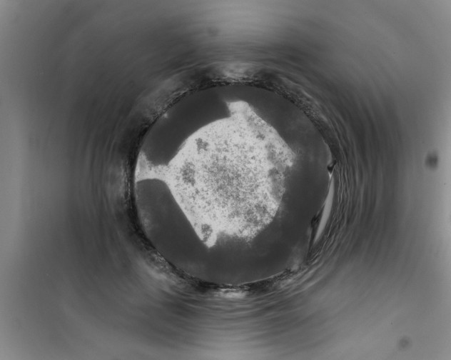 X0000100970651200807221211