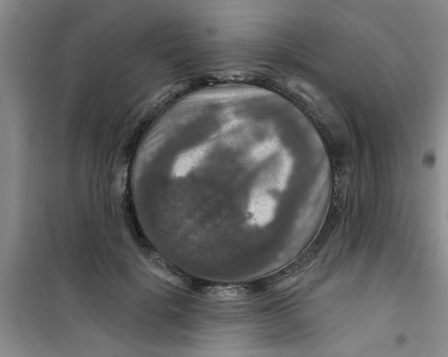X0000100970652200807221211