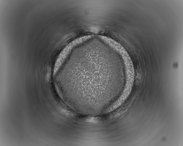 X0000100970656200807221211