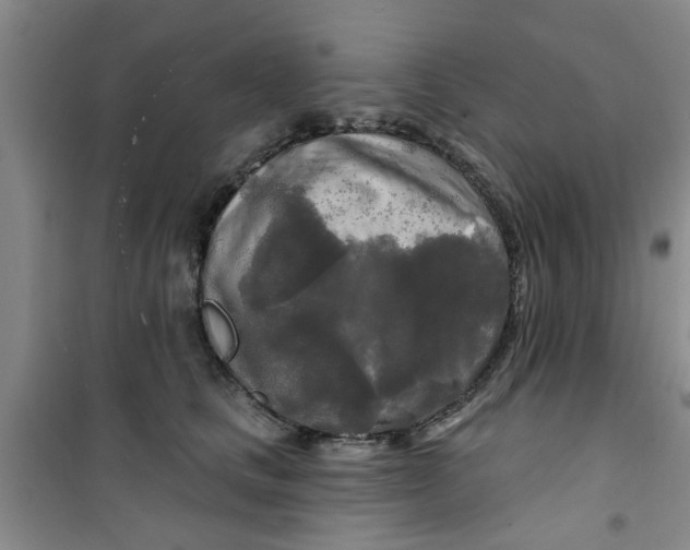 X0000100970661200807221211