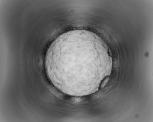 X0000100970662200807221211