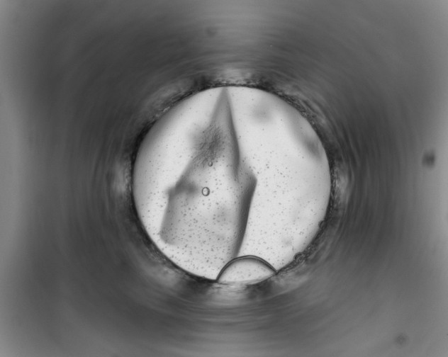 X0000100970665200807221211