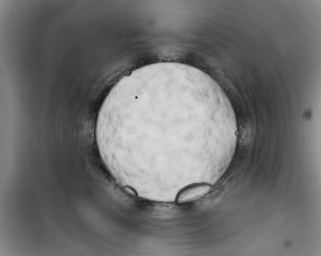 X0000100970666200807221211