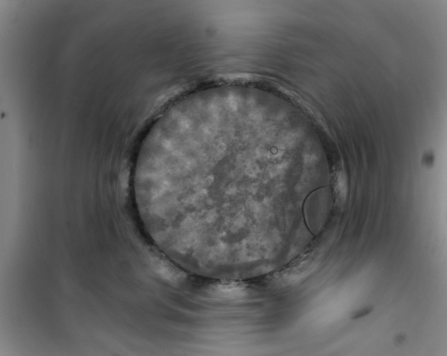 X0000100970668200807221211