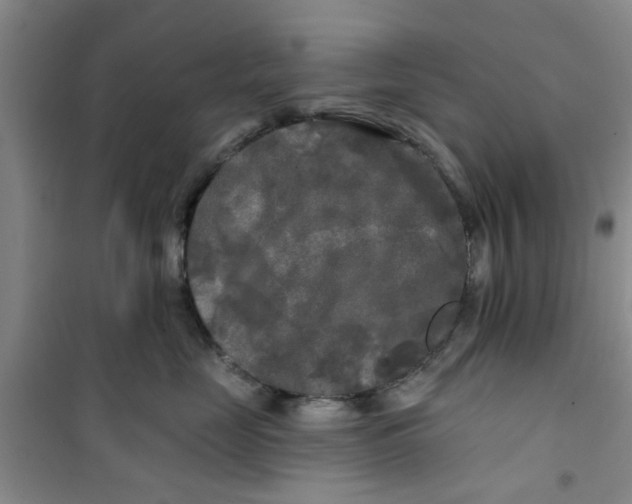 X0000100970669200807221211